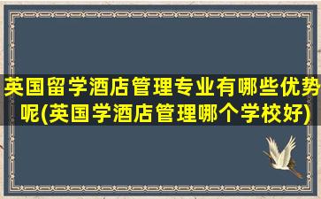 英国留学酒店管理专业有哪些优势呢(英国学酒店管理哪个学校好)