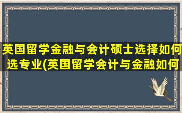 英国留学金融与会计硕士选择如何选专业(英国留学会计与金融如何选学校)