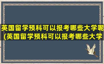 英国留学预科可以报考哪些大学呢(英国留学预科可以报考哪些大学专业)