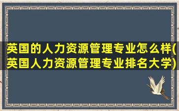 英国的人力资源管理专业怎么样(英国人力资源管理专业排名大学)