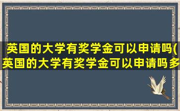 英国的大学有奖学金可以申请吗(英国的大学有奖学金可以申请吗多少钱)