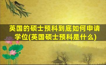 英国的硕士预科到底如何申请学位(英国硕士预科是什么)