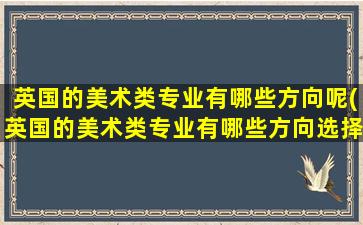 英国的美术类专业有哪些方向呢(英国的美术类专业有哪些方向选择)