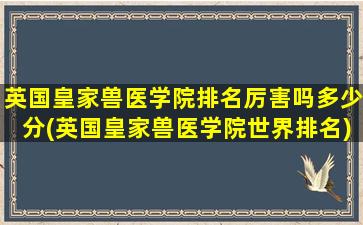 英国皇家兽医学院排名厉害吗多少分(英国皇家兽医学院世界排名)