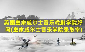 英国皇家威尔士音乐戏剧学院好吗(皇家威尔士音乐学院录取率)