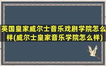 英国皇家威尔士音乐戏剧学院怎么样(威尔士皇家音乐学院怎么样)