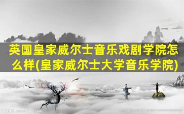 英国皇家威尔士音乐戏剧学院怎么样(皇家威尔士大学音乐学院)