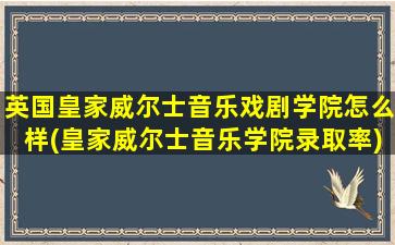 英国皇家威尔士音乐戏剧学院怎么样(皇家威尔士音乐学院录取率)