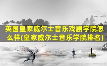 英国皇家威尔士音乐戏剧学院怎么样(皇家威尔士音乐学院排名)