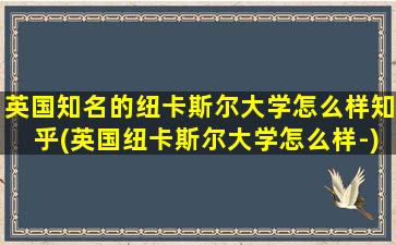 英国知名的纽卡斯尔大学怎么样知乎(英国纽卡斯尔大学怎么样-)