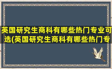 英国研究生商科有哪些热门专业可选(英国研究生商科有哪些热门专业学校)