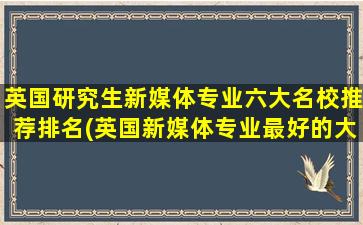 英国研究生新媒体专业六大名校推荐排名(英国新媒体专业最好的大学)