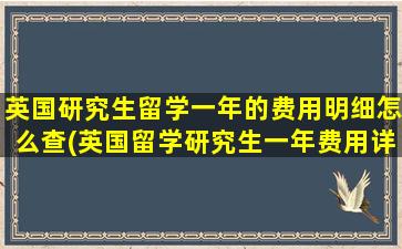 英国研究生留学一年的费用明细怎么查(英国留学研究生一年费用详细清单)