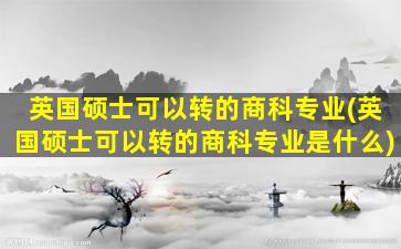 英国硕士可以转的商科专业(英国硕士可以转的商科专业是什么)