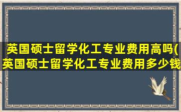 英国硕士留学化工专业费用高吗(英国硕士留学化工专业费用多少钱)