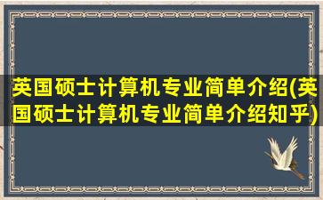 英国硕士计算机专业简单介绍(英国硕士计算机专业简单介绍知乎)