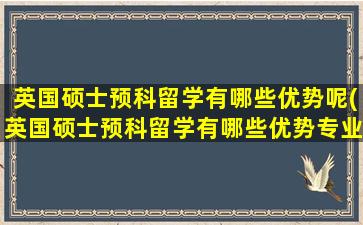 英国硕士预科留学有哪些优势呢(英国硕士预科留学有哪些优势专业)