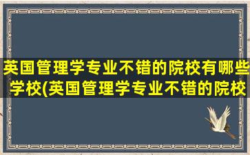 英国管理学专业不错的院校有哪些学校(英国管理学专业不错的院校有哪些大学)