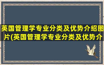 英国管理学专业分类及优势介绍图片(英国管理学专业分类及优势介绍图)