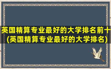 英国精算专业最好的大学排名前十(英国精算专业最好的大学排名)