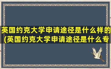 英国约克大学申请途径是什么样的(英国约克大学申请途径是什么专业)