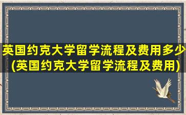 英国约克大学留学流程及费用多少(英国约克大学留学流程及费用)