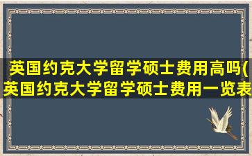 英国约克大学留学硕士费用高吗(英国约克大学留学硕士费用一览表)