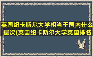 英国纽卡斯尔大学相当于国内什么层次(英国纽卡斯尔大学英国排名-)