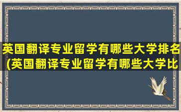 英国翻译专业留学有哪些大学排名(英国翻译专业留学有哪些大学比较好)