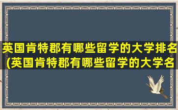 英国肯特郡有哪些留学的大学排名(英国肯特郡有哪些留学的大学名单)