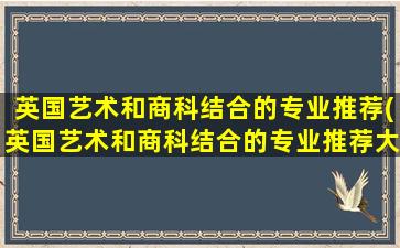 英国艺术和商科结合的专业推荐(英国艺术和商科结合的专业推荐大学)