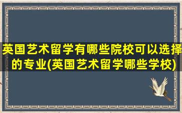 英国艺术留学有哪些院校可以选择的专业(英国艺术留学哪些学校)