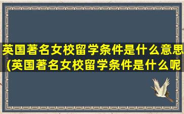 英国著名女校留学条件是什么意思(英国著名女校留学条件是什么呢)