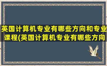 英国计算机专业有哪些方向和专业课程(英国计算机专业有哪些方向和专业要求)