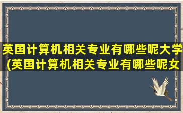 英国计算机相关专业有哪些呢大学(英国计算机相关专业有哪些呢女生)