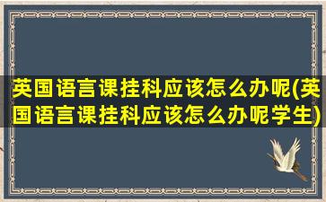 英国语言课挂科应该怎么办呢(英国语言课挂科应该怎么办呢学生)