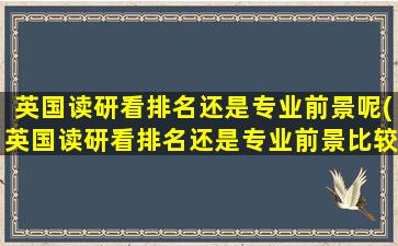 英国读研看排名还是专业前景呢(英国读研看排名还是专业前景比较好)