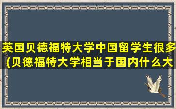 英国贝德福特大学中国留学生很多(贝德福特大学相当于国内什么大学)