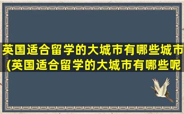 英国适合留学的大城市有哪些城市(英国适合留学的大城市有哪些呢)