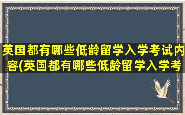 英国都有哪些低龄留学入学考试内容(英国都有哪些低龄留学入学考试科目)