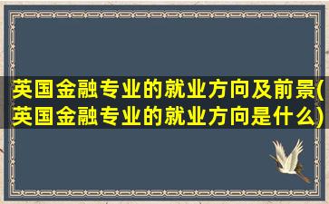 英国金融专业的就业方向及前景(英国金融专业的就业方向是什么)