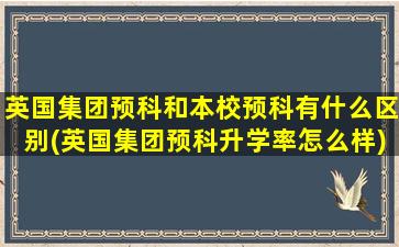 英国集团预科和本校预科有什么区别(英国集团预科升学率怎么样)