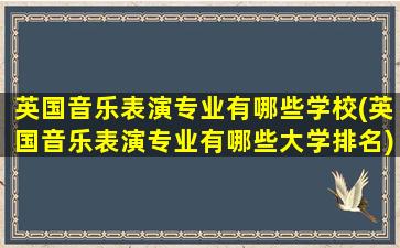 英国音乐表演专业有哪些学校(英国音乐表演专业有哪些大学排名)