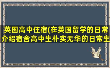 英国高中住宿(在英国留学的日常介绍宿舍高中生朴实无华的日常生活)