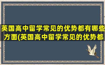 英国高中留学常见的优势都有哪些方面(英国高中留学常见的优势都有哪些专业)