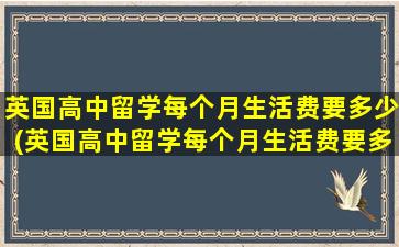 英国高中留学每个月生活费要多少(英国高中留学每个月生活费要多少合适)