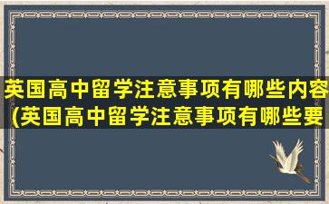 英国高中留学注意事项有哪些内容(英国高中留学注意事项有哪些要求)