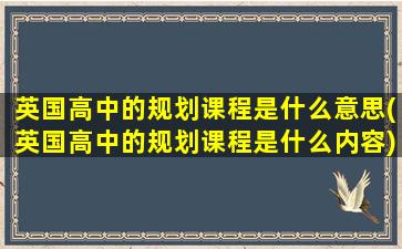 英国高中的规划课程是什么意思(英国高中的规划课程是什么内容)