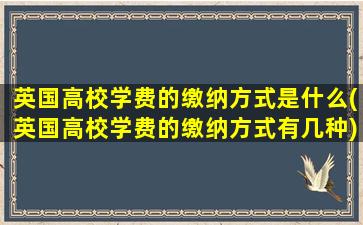 英国高校学费的缴纳方式是什么(英国高校学费的缴纳方式有几种)