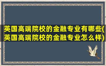 英国高端院校的金融专业有哪些(英国高端院校的金融专业怎么样)